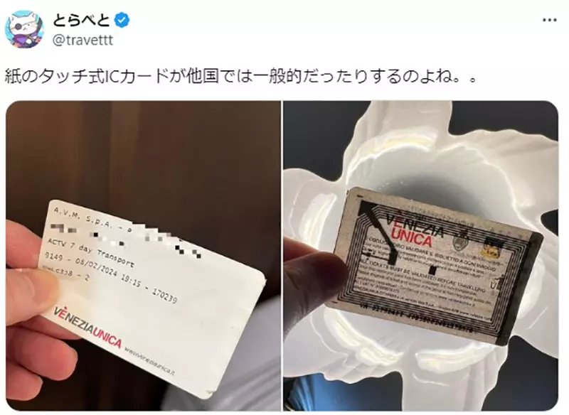 我的世界基岩版【】下载