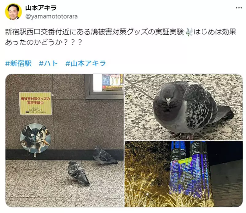 我的世界基岩版【】下载