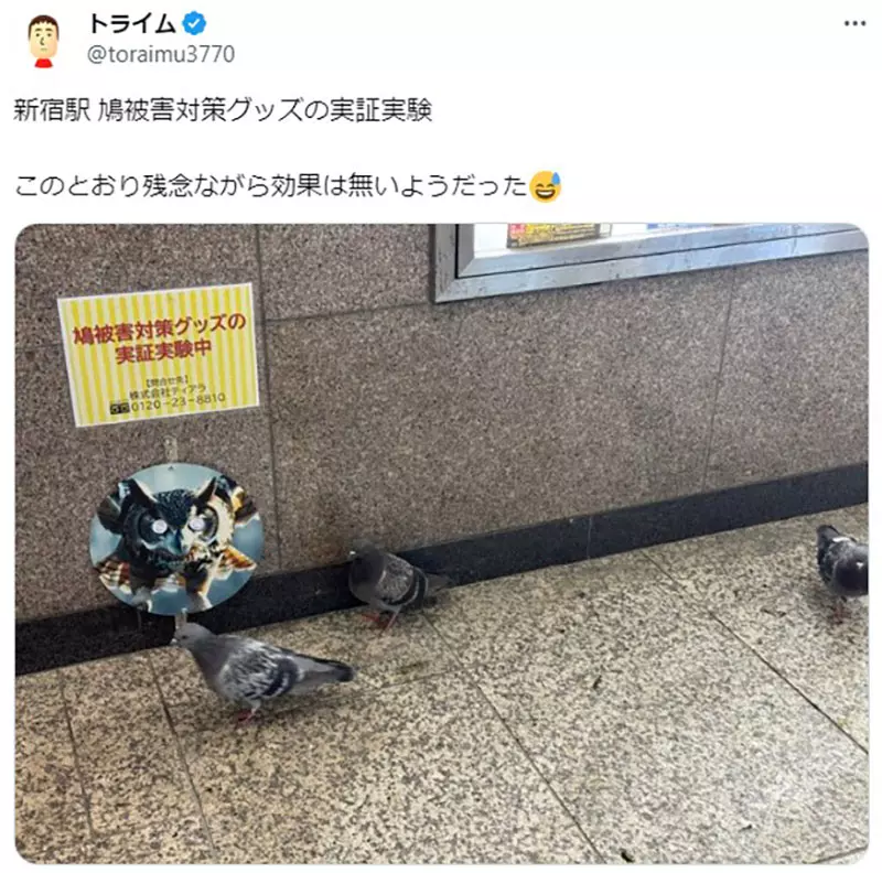 我的世界基岩版【】下载