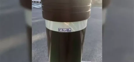 日本路边惊现名字酷似皮卡丘的反光柱,网友担忧:不怕招惹地表最强法务部? - 奇趣星球报