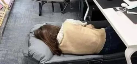 日本网友议论公司这样真的“血汗”吗,员工们都躺在办公室睡觉!然而不少人却觉得这样非常有良心! - 我的世界基岩版中文站