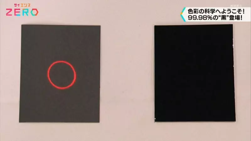 《超爱黑色的日本研究者》开的车和穿的衣服都要是黑色 连心爱的黑猫也命名为「暗黑」