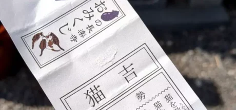日本长乐寺的“猫吉签”，据说是比大吉还要厉害的存在！所有签文都是在讲猫，简直太可爱了！ - 我的世界基岩版中文站