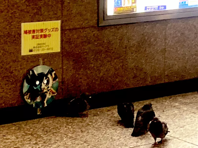 我的世界基岩版【】下载