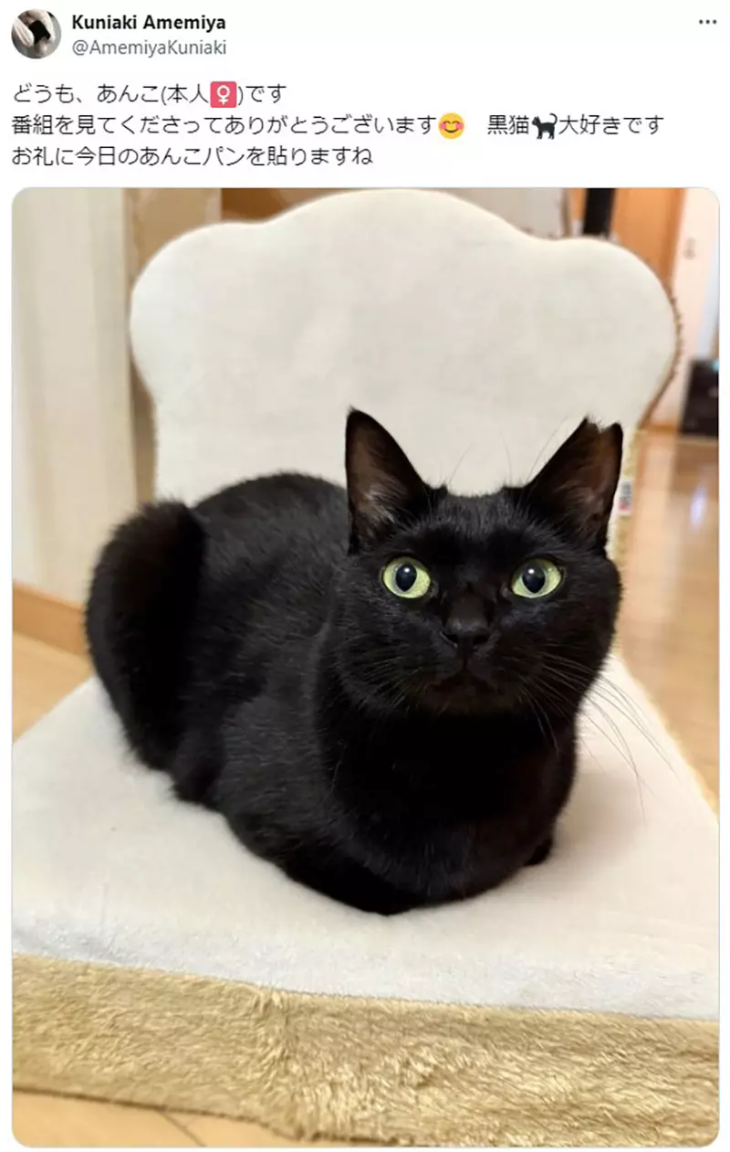 《超爱黑色的日本研究者》开的车和穿的衣服都要是黑色 连心爱的黑猫也命名为「暗黑」