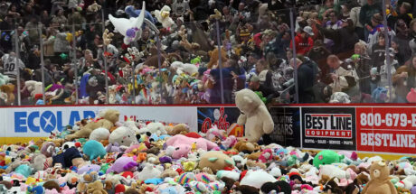 美国冰球场突然下起「泰迪熊雨」，10 万只玩偶从天而降！背后原因很动人！ - 我的世界基岩版中文站