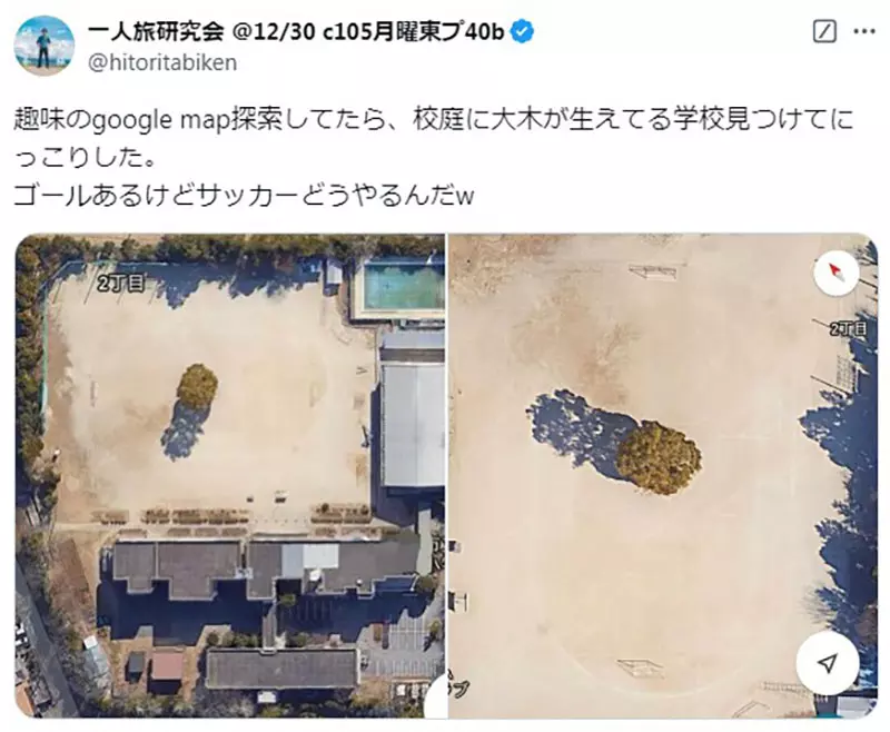 日本校园奇观!操场正中央竟长着参天大树?网友神吐槽:这足球比赛到底怎么踢啊! 日本校园奇观!操场正中央竟长着参天大树?网友神吐槽:这足球比赛到底怎么踢啊!