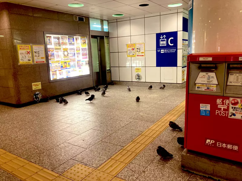 我的世界基岩版【】下载