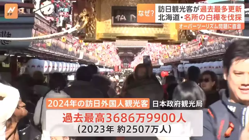 3600 万游客挤爆日本的代价！因乱闯农田引众怒，北海道美瑛地主忍痛砍光着名白桦林！