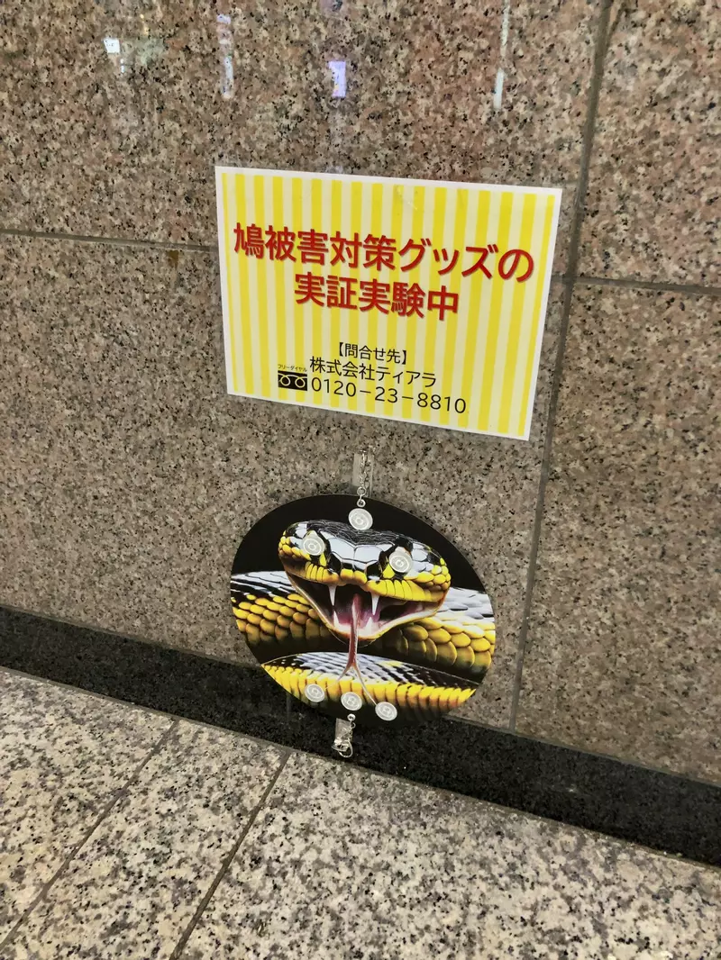 我的世界基岩版【】下载