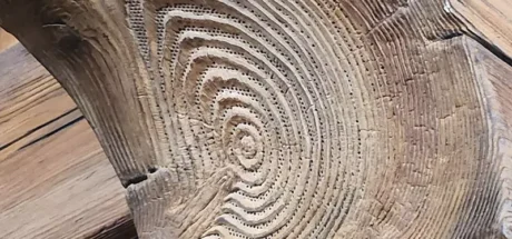 日本网友感叹东京迪士尼乐园的喇叭布置，超强隐身术让游客叹为观止！园区为了维护世界观不遗余力！ - 我的世界基岩版中文站