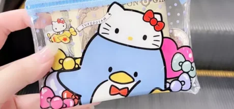 日本网友议论“用透明拉链袋当钱包的人”,为什么大家都不买高级钱包了!是因为退流行,还是失去必要性了! - 我的世界基岩版中文站