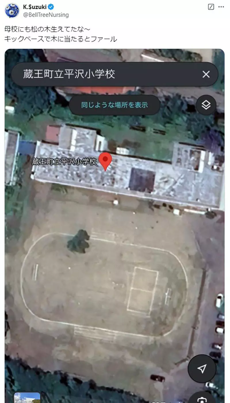 日本校园奇观!操场正中央竟长着参天大树?网友神吐槽:这足球比赛到底怎么踢啊! 日本校园奇观!操场正中央竟长着参天大树?网友神吐槽:这足球比赛到底怎么踢啊!