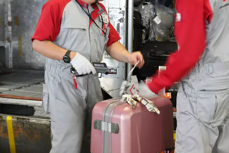 我的世界基岩版【】下载