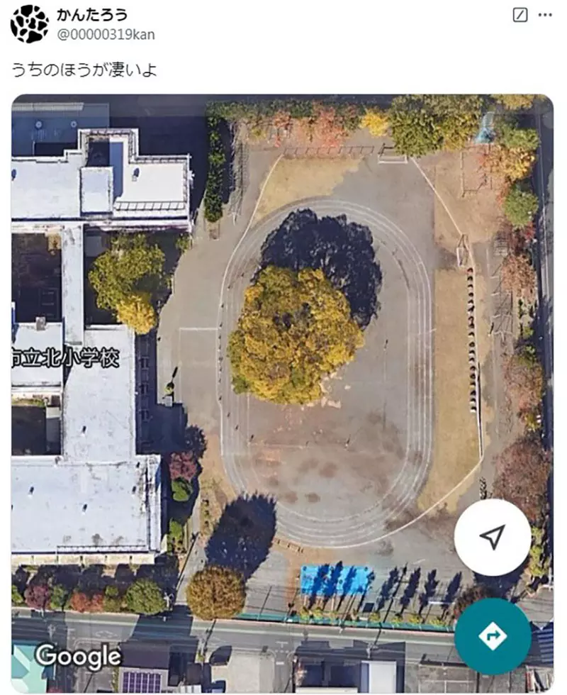 日本校园奇观!操场正中央竟长着参天大树?网友神吐槽:这足球比赛到底怎么踢啊! 日本校园奇观!操场正中央竟长着参天大树?网友神吐槽:这足球比赛到底怎么踢啊!