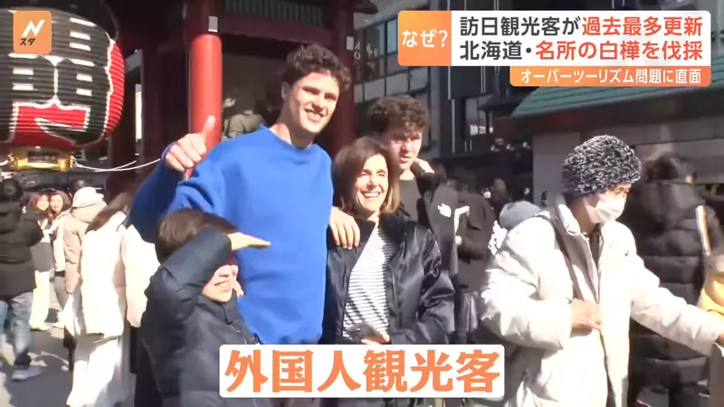 3600 万游客挤爆日本的代价！因乱闯农田引众怒，北海道美瑛地主忍痛砍光着名白桦林！