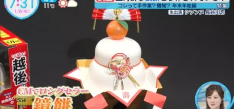 日本镜饼工厂探秘！7吨年糕被机械臂狂捣100次，最后却塞进了塑料壳？ - 奇趣星球报