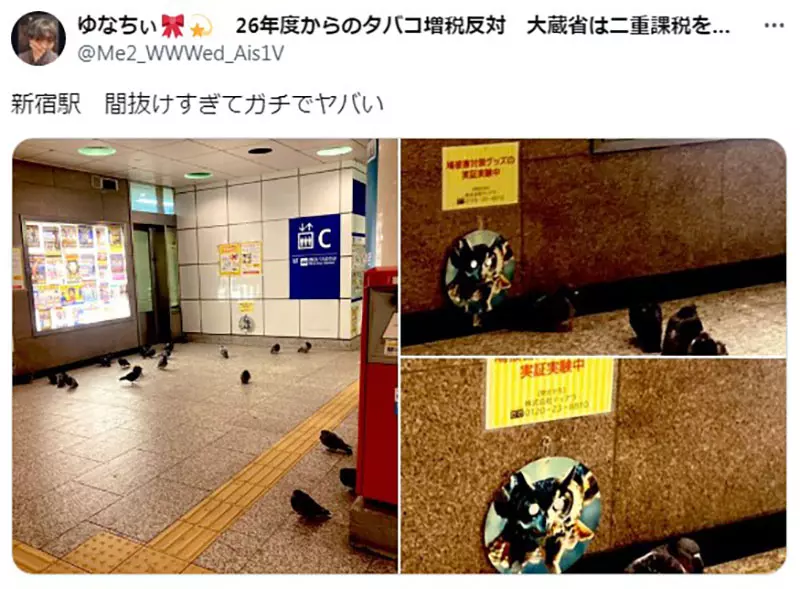 我的世界基岩版【】下载