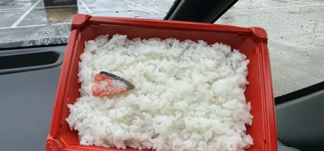 日本网友议论“盐渍鲑鱼便当”，只给一小片鱼肉究竟有够抠！然而秋田县居民告诉你这样绝对够！ - 我的世界基岩版中文站