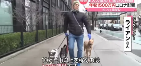 日本让人羡慕的新职业“遛狗保母”，专职遛狗人员年收入10万美金！这难道就是最理想的工作！ - 我的世界基岩版中文站