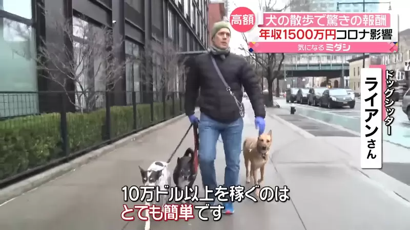 日本让人羡慕的新职业“遛狗保母”，专职遛狗人员年收入10万美金！这难道就是最理想的工作！ - 我的世界基岩版中文站 - 我的世界基岩版中文站