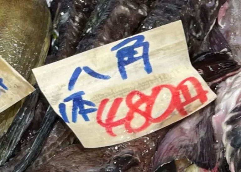 日本网友议论北海道特色鱼“八角”，美味到让人欲罢不能！但是住在外地的朋友，可能听都没听过！ - 奇趣星球报 - 奇趣星球报