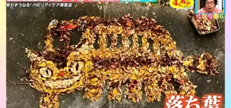 日本高中美术老师凭借“落叶艺术”火爆网络！扫地时间就是他的创作时间！ - 我的世界基岩版中文站