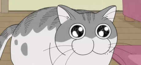 日本斜杠动画分享“如何同时兼顾兽医和动画工作”！其实2种职业出乎意料地相似！ - 我的世界基岩版中文站