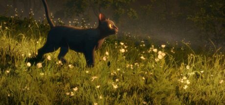 勇夺奥斯卡最佳动画长片!这部“没有真人演员出现”的《猫猫的奇幻漂流》,为什么看过的人都看哭了! - 我的世界基岩版中文站