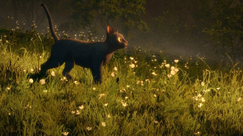 勇夺奥斯卡最佳动画长片!这部“没有真人演员出现”的《猫猫的奇幻漂流》,为什么看过的人都看哭了! - 奇趣星球报 - 奇趣星球报