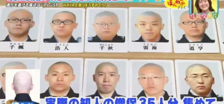日本综艺介绍“僧侣配对卡牌游戏”火爆网络，35位光头僧侣排排站！你有办法立刻认出谁是谁吗！ - 我的世界基岩版中文站