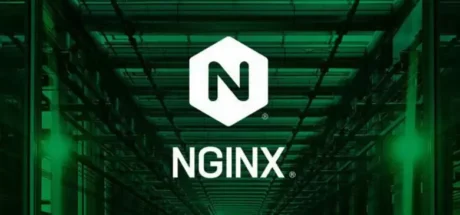 日本网友议论“揭穿假程序员的方法”，考考他会不会 NGINX 就知道！然而一堆真程序员也不知道怎么念！ - 我的世界基岩版中文站