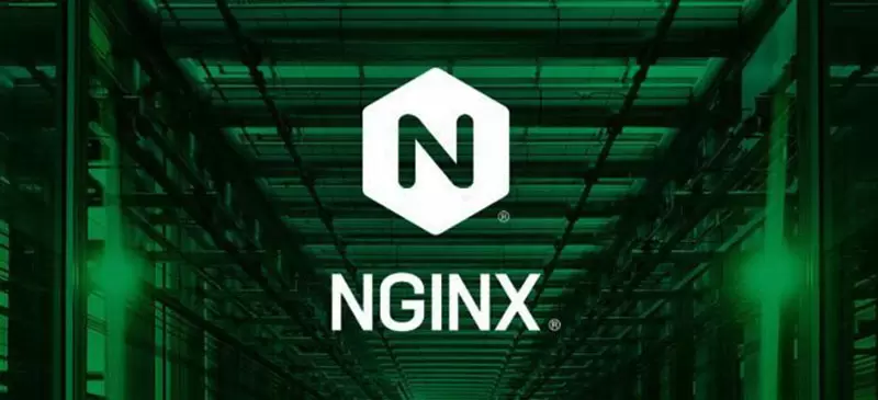 日本网友议论“揭穿假程序员的方法”，考考他会不会 NGINX 就知道！然而一堆真程序员也不知道怎么念！ - 我的世界基岩版中文站 - 我的世界基岩版中文站