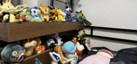 日本网友议论“成年人的房间该长什么样”，床上堆满《宝可梦》玩偶！说是26岁男性的房间你敢信！ - 我的世界基岩版中文站