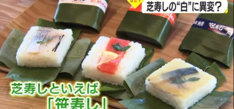 日本金泽寿司名店“芝寿司”，起源竟是推销东芝电饭锅的剩饭！最后阴差阳错诞生的经典美食！ - 我的世界基岩版中文站