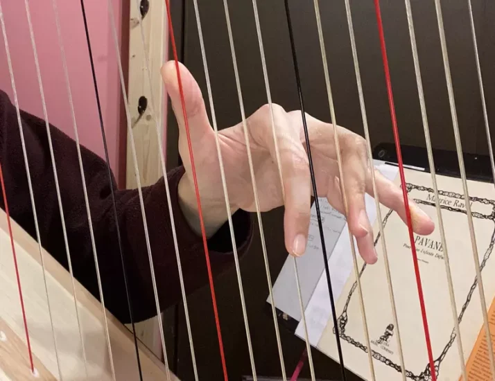 日本网友议论“竖琴家的日常烦恼”，没办法使用指纹认证！其他乐器演奏者也面临同样的问题！ - 奇趣星球报 - 奇趣星球报