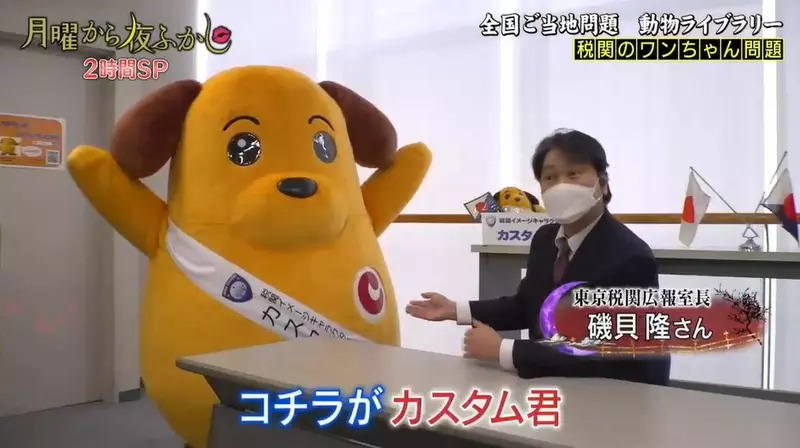 日本各地海关的吉祥物缉毒犬“形态各异”！虽然都是同一个卡通形象，但是各地造型不统一结果超好笑！ - 我的世界基岩版中文站 - 我的世界基岩版中文站