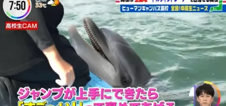 日本香川县有一所独特的高中，学生在这里将成为“海豚训练师”！但是实习的时候，让人苦恼的事就是容易晒黑！ - 我的世界基岩版中文站