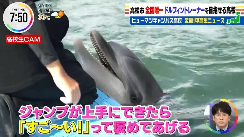日本香川县有一所独特的高中，学生在这里将成为“海豚训练师”！但是实习的时候，让人苦恼的事就是容易晒黑！ - 我的世界基岩版中文站 - 我的世界基岩版中文站
