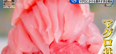 日本青森的鲔鱼丼超大碗,一碗多达120片生鱼片!老板用料不手软,竟然是为了“收集贴纸”! - 我的世界基岩版中文站