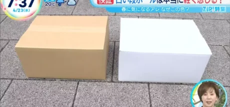 日本电视节目探讨搬家公司的纸箱“为什么是白色而不是棕色”！其实这样对搬家工人和业主都有好处！ - 我的世界基岩版中文站