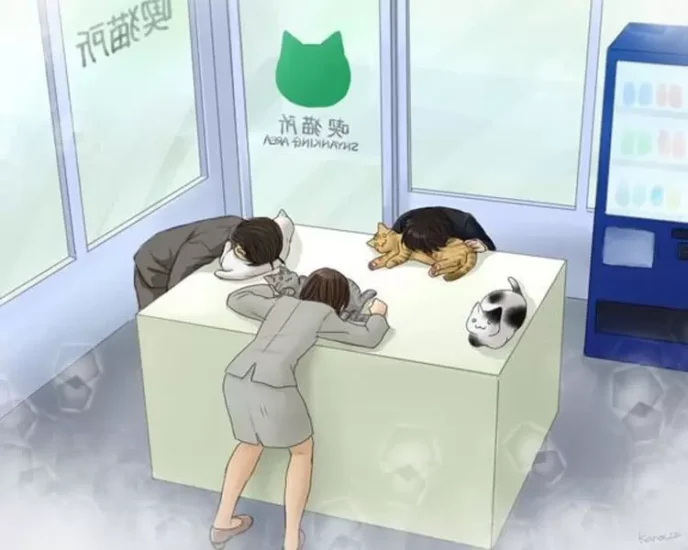 日本网友发文提醒“请不要在有化妆的情况下吸猫”！化妆品会沾到猫毛上，一定要注意喔！ - 我的世界基岩版中文站 - 我的世界基岩版中文站