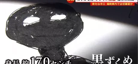 日本网友议论“偷窃案件目击者画出偷车贼”,从头到脚都是一身黑!这究竟是外星人,还是《名侦探柯南》中的犯人! - 我的世界基岩版中文站