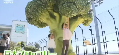 日本神户机场新景点，屋顶冒出一棵“巨大花椰菜”！让观光客体验缩小的感觉！ - 我的世界基岩版中文站