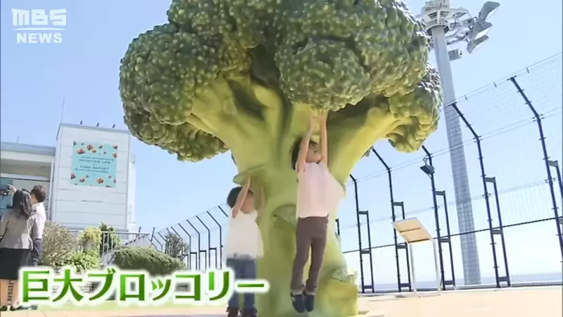 日本神户机场新景点，屋顶冒出一棵“巨大花椰菜”！让观光客体验缩小的感觉！ - 我的世界基岩版中文站 - 我的世界基岩版中文站