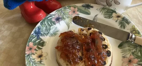 日本驻英大使因“英国烤面饼的吃法”问题,引爆网友饮食文化之争!他只涂果酱挨批没有人这样吃! - 我的世界基岩版中文站