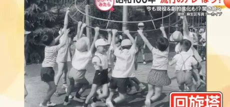 日本电视台探访“超危险公园游具”,只有老人玩过的回旋塔!现代小朋友想玩都玩不到了! - 我的世界基岩版中文站