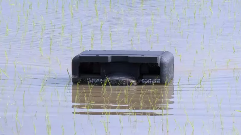 日本稻田出现神秘物体宛如“田里的打印机”,其实是改善农民生活的神奇装置!可以自动抑制杂草生长! - 我的世界基岩版中文站 - 我的世界基岩版中文站