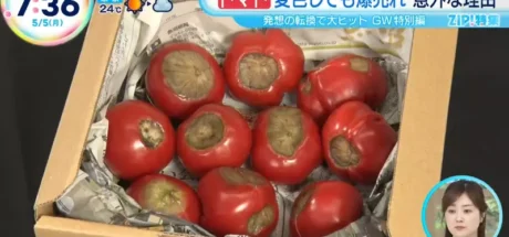 日本外观带有大黑斑“黑化番茄”,长满黑斑的番茄却意外引发老饕疯抢!名称甚至来自《星际大战》的达斯维达! - 我的世界基岩版中文站