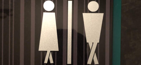 日本知名作家批评“厕所奇葩标识设计”，取消红蓝颜色区别男女很糟糕！赶着上厕所的时候，简直是雪上加霜！ - 我的世界基岩版中文站